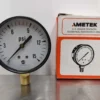 Ametek P500