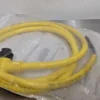 Allen-Bradley 889N-V4AFC-6F QD Cordset Ser B 6 Feet 4 Pin Mini Right Angle - Image 4