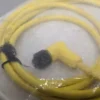 Allen-Bradley 889D-R4AC-2 QD Cordset Ser B 2 Meter 4 Pin DC Micro Right Angle - Image 7