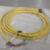 Allen-Bradley 889R-F3ECA-2 QD Cordset Ser B 2 Meter 3 Pin AC Micro Straight - Image 4