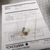 Yokogawa 96030 Clamp-on Probe 600VAC 200A Max 600VAC 200A