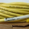 Allen-Bradley 889D-F5ACDM-15 QD Cordset DC Micro Straight PN-62598 Ser B 15m 5 Pin