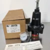 Watts R119-06CG/M2