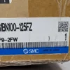 SMC CG1BN100-125FZ Air Double Acting Cylinder 2F9-2FW